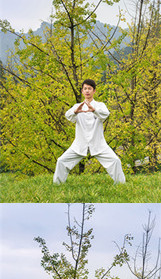 Yoga, Tai chi and other outdoor activities
