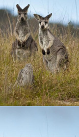 Based on wildlife and protected areas