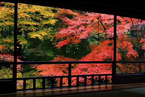 京都