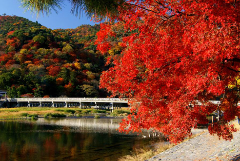 京都 - 岚山 - 京都